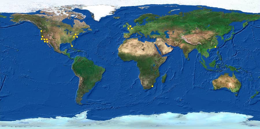 world map of M.Y. S.P.A.C.E. school locations